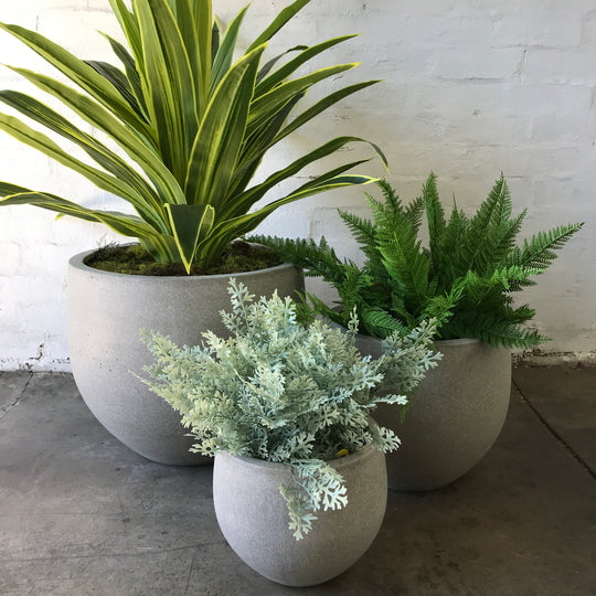 Set of 3 UV Protected Plants