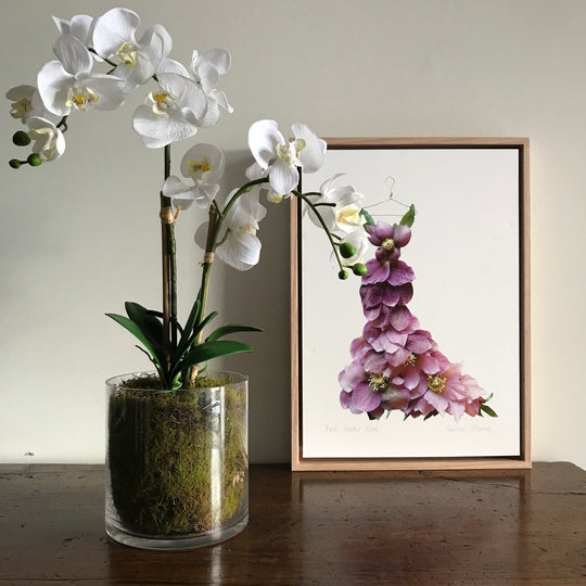 Medium White Orchid