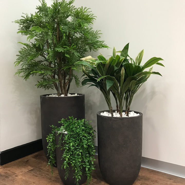 Set of 3 Pot Plants