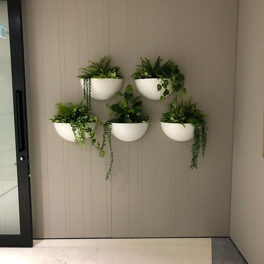 Wall Planters #4