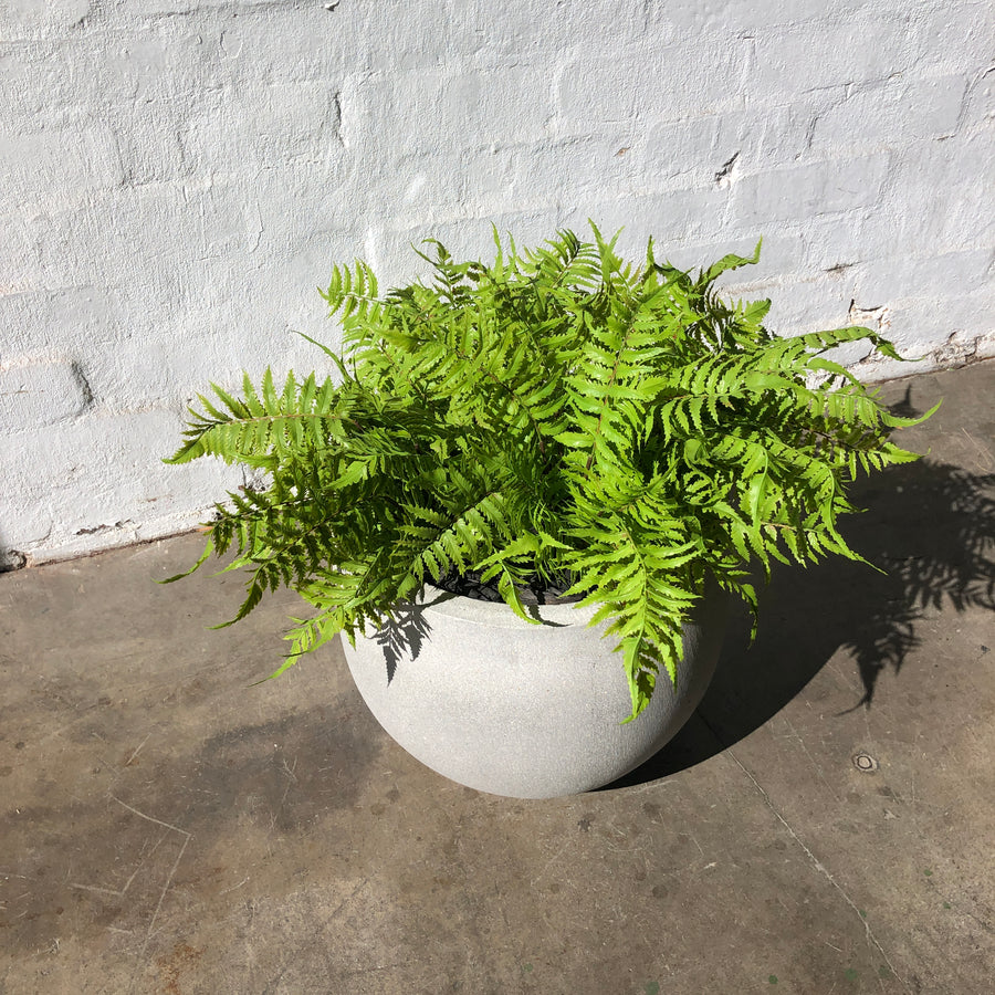 Artificial Small Fern Stem (UV/Sun Protected)