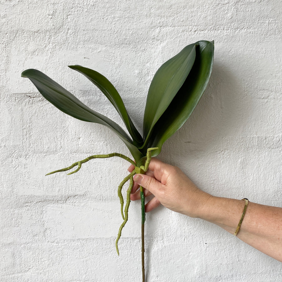 Artificial Orchid Leaf - Short