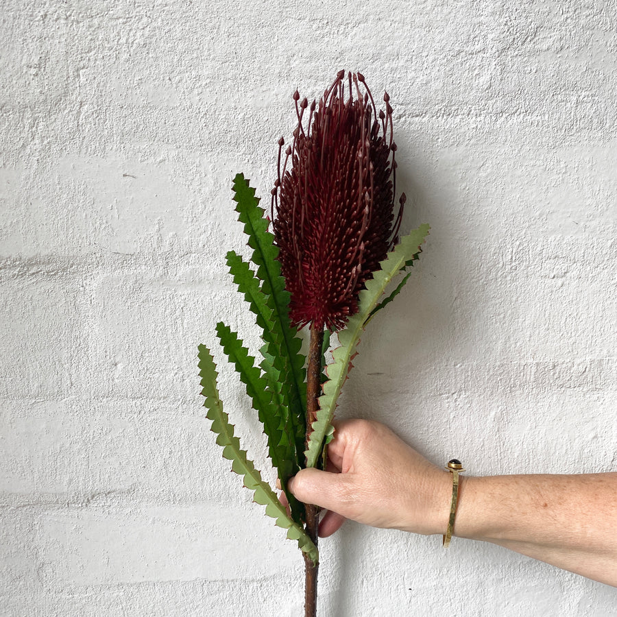 Artificial Banksia Stem (Red)