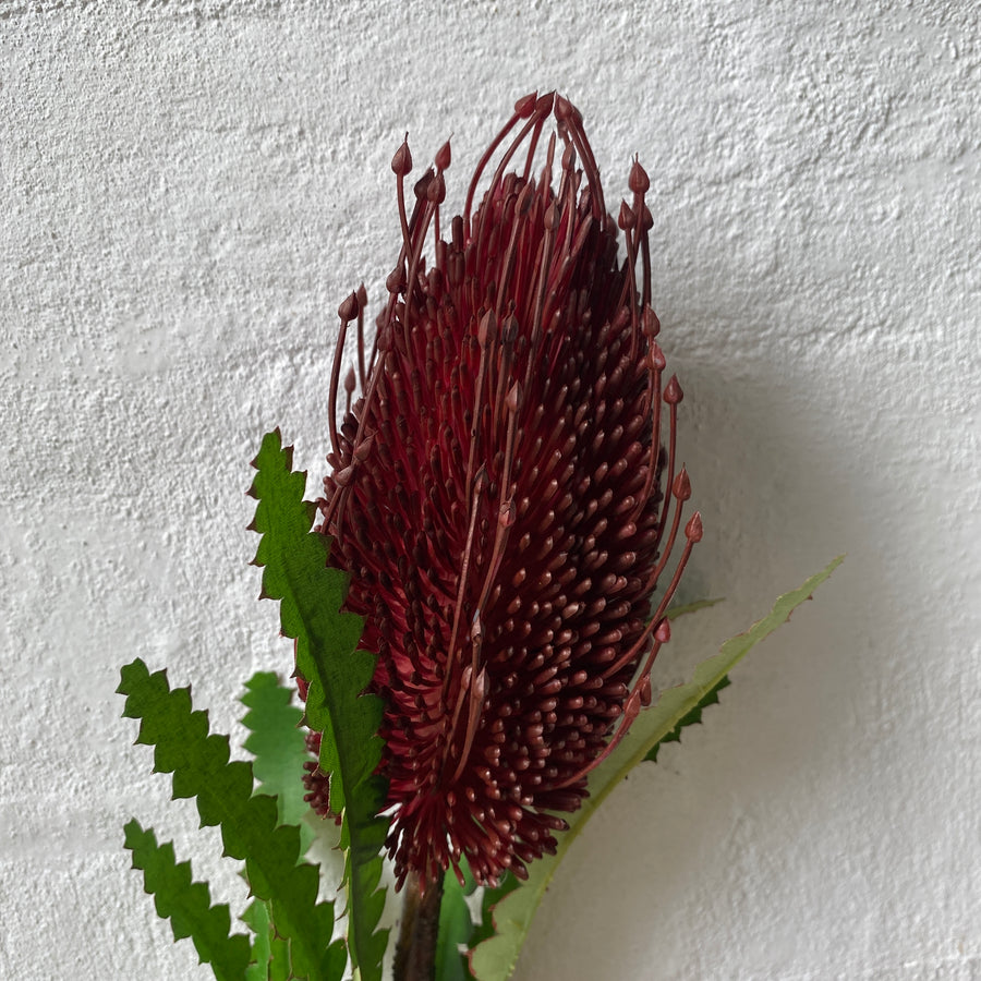 Artificial Banksia Stem (Red)
