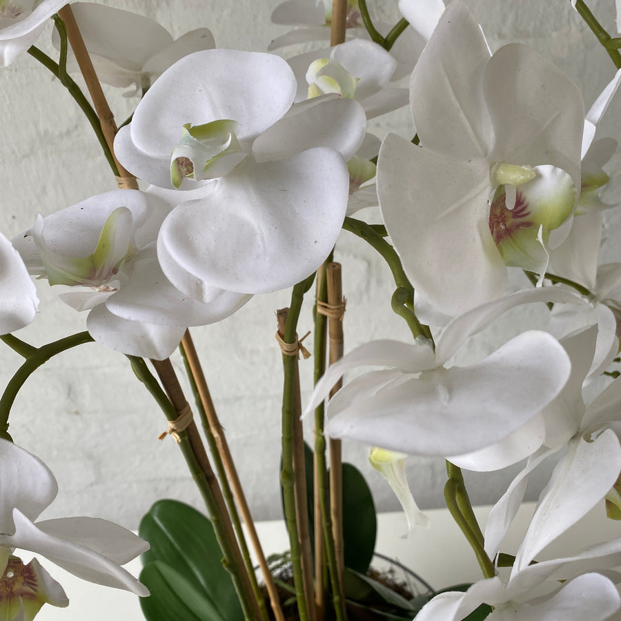 Artificial Large White Orchids in Glass